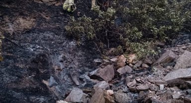 Alaşehir'de 50 dekarlık meyve bahçesi kül oldu