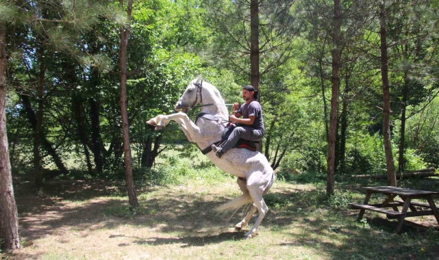 "Allah" denilince şaha kalkıyor