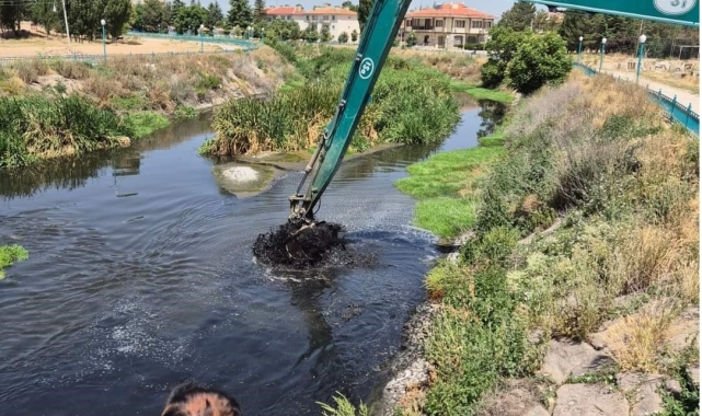 Alpu sivrisinekten ve pis kokudan kurtuldu