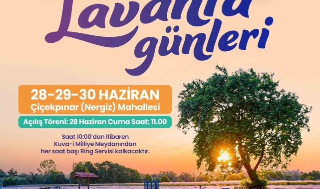Altıeylül Belediyesi vatandaşları lavanta günlerine davet ediyor