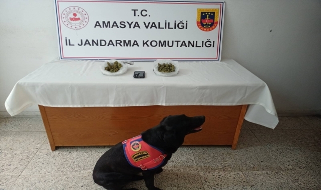 Amasya'da uyuşturucu operasyonunda 1 kişi tutuklandı