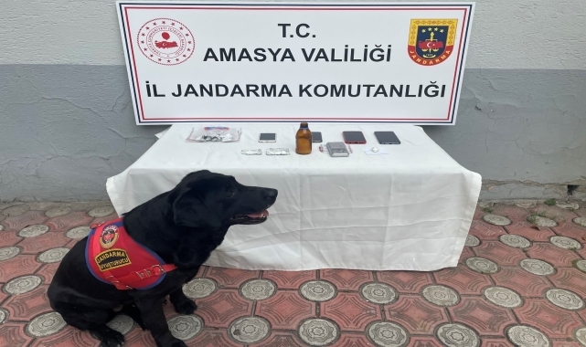 Amasya'da uyuşturucu operasyonunda 1 kişi tutuklandı