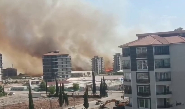 Anız yangını korku ve paniğe neden oldu