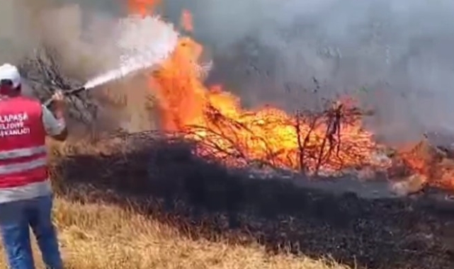 Anız yangını ormana sıçradı