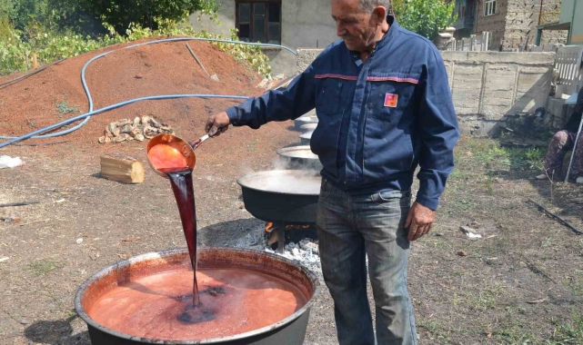 Antalya'da her derde deva andız pekmezi