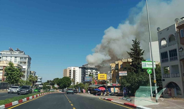 Antalya'daki orman yangınına müdahale sürüyor