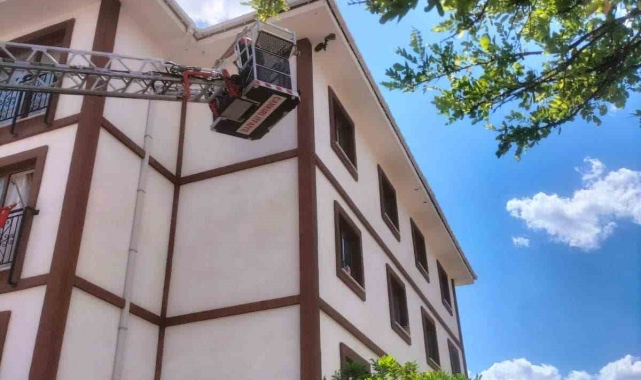 Apartmana sıkışan yavru kuş kurtarıldı