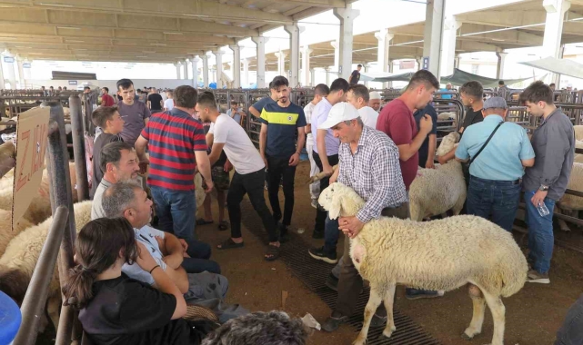 Arefe günü kurban pazarlarında hareketlilik