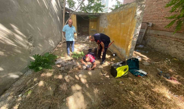 Atık su borusunda mahsur kalan yavru köpekleri itfaiyeciler kurtardı