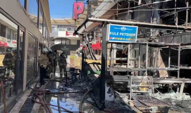 Avcılar'da bir petshopta çıkan yangında faciadan dönüldü
