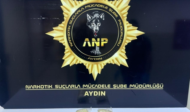 Aydın'a uyuşturucu taşıyan şüpheli tutuklandı