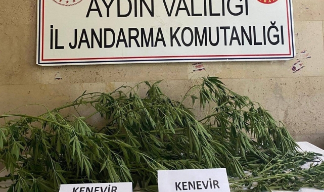 Aydın'da jandarma ekipleri uyuşturucuya geçit vermiyor