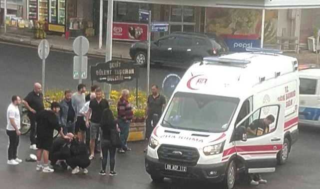 Aydın'da köpekler bu defa yaşlı şahsı hastanelik etti