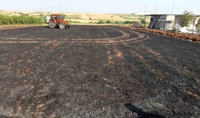 Babaeski'de 2.5 dönüm buğday tarlası küle döndü