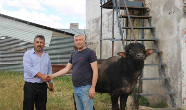 Bağışlar arttı kurbanlıklar pazarda kaldı