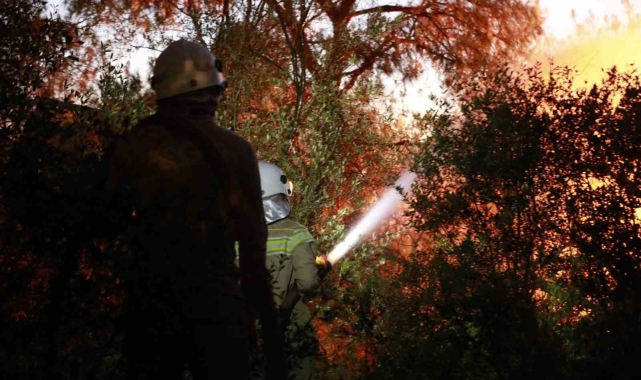 Bakan Yumaklı: &quot;Kuşadası&#039;ndaki orman yangını kontrol altında&quot;