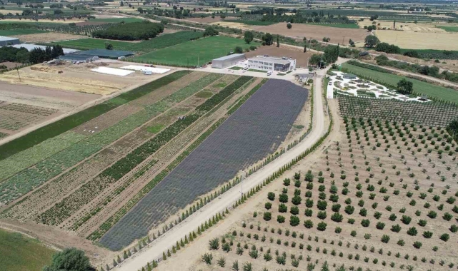 Balıkesir 5. Aromaterapi festivali 4-7 Temmuz'da
