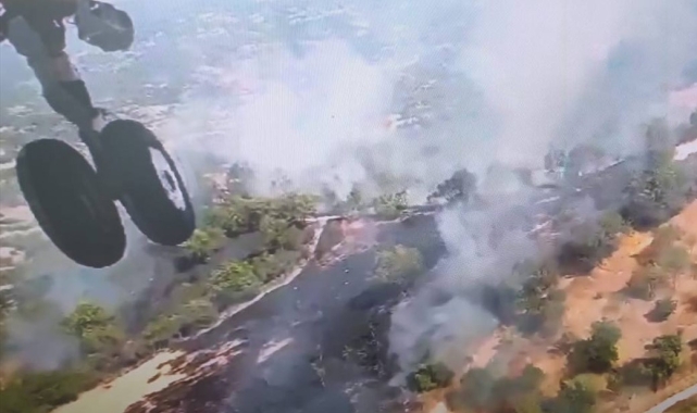 Balıkesir'de arazide başlayan yangın ormanlık alana sıçradı