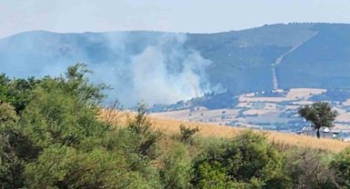 Balıkesir'de orman yangını