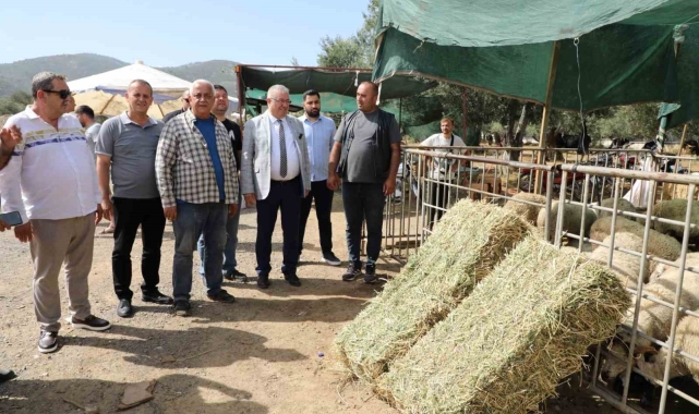 Başkan Ertaş: "Kurban Bayramı dayanışma demektir"