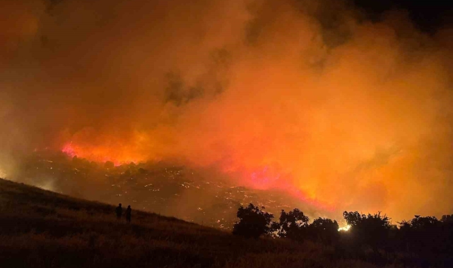 Bayındır'da korkutan yangın