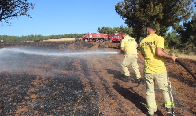 Bayramiç'te çıkan yangında 100 dönüm alan zarar gördü