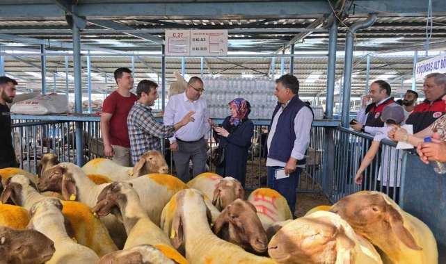 Belgesiz kurbanlıkların kente girişine izin verilmiyor