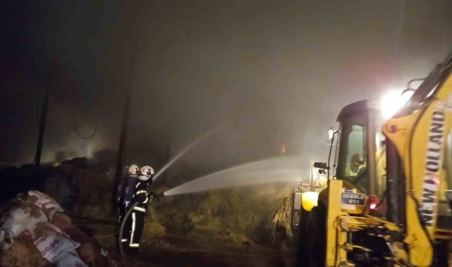Besihanede çıkan yangın korkuya neden oldu