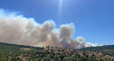 Bigadiç'te anız yangını