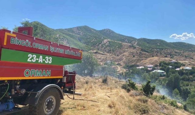 Bingöl'de kırsal alanda çıkan yangın ormana sıçramadan söndürüldü