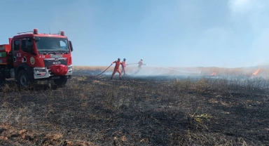 Bingöl'de yaklaşık 100 dönümlük tarım alanı yandı