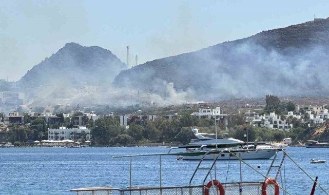 Bodrum'da 2 noktadaki yangın kontrol altına alındı