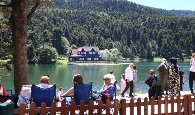 Bolu'da ormanlık alanlara giriş yasaklandı