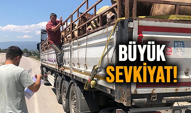 BOYABAT KURBANLIKLARI TRAKYA'YA UĞURLANDI!