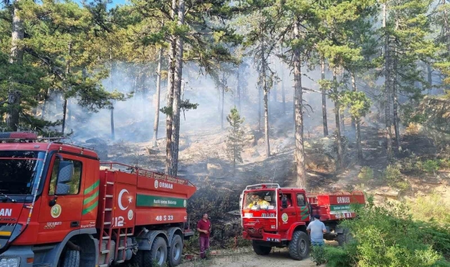 Bozdoğan Kaymakamlığı'ndan orman yangını uyarısı