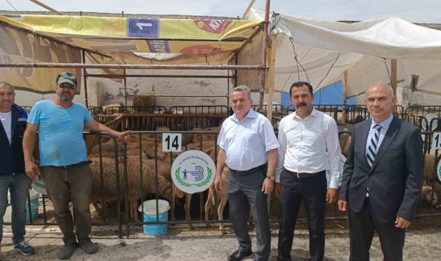 Bozüyük'te kurban satış ve kesim yerleri denetlendi