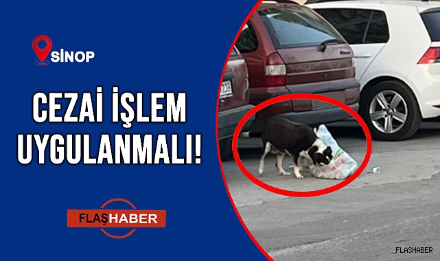 BU KADARI DA AYIP!