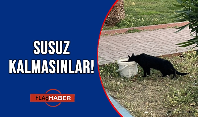 BU KONUDA DUYARLI OLMAK GEREKİR!