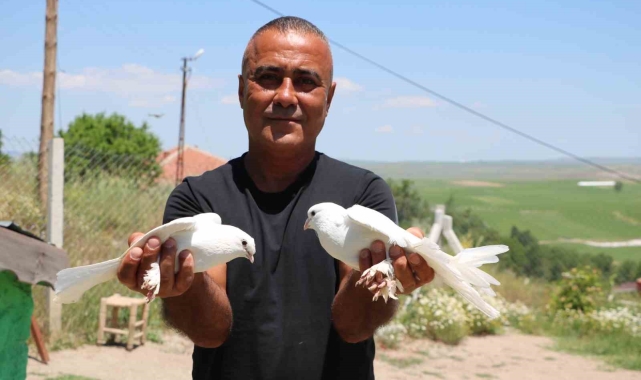 Bu kuşlara değer biçilemiyor