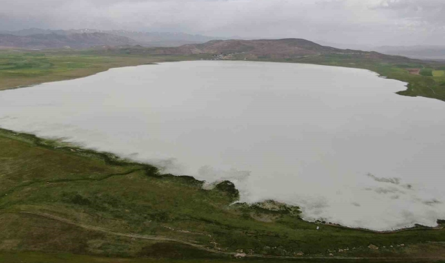 Bu yıl kurumayan Akgöl misafirlerini ağırlıyor