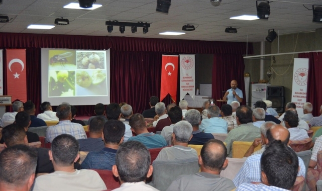 Buharkent'te İncir Siyah Sineği ve Hastalıkları Eğitim Toplantısı düzenlendi