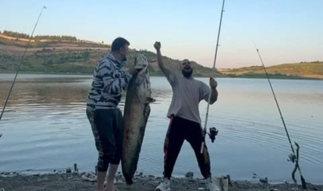 Bursa'da iki arkadaş oltayla 165 santimetrelik balık tuttu