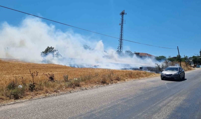 Bursa'da örtü yangını