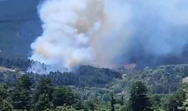Bursa'nın dağ ilçesinde orman yangını