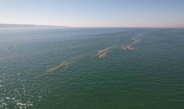 Büyükçekmece'de denizde alg patlaması yaşandı, denizin rengi kızıllaştı