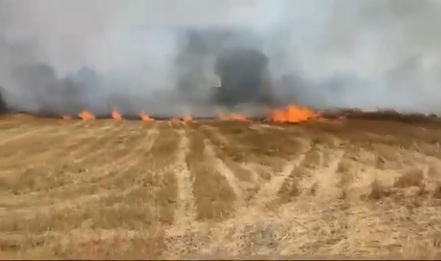 Büyükorhan'daki anız yangını korkuttu