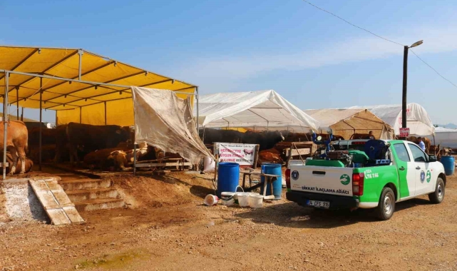 Büyükşehir Kurban Bayramı'na hazır
