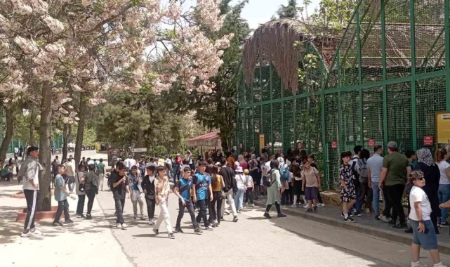 Büyükşehir'in müzeleri ve doğal yaşam parkı, ziyaretçi akınına uğradı