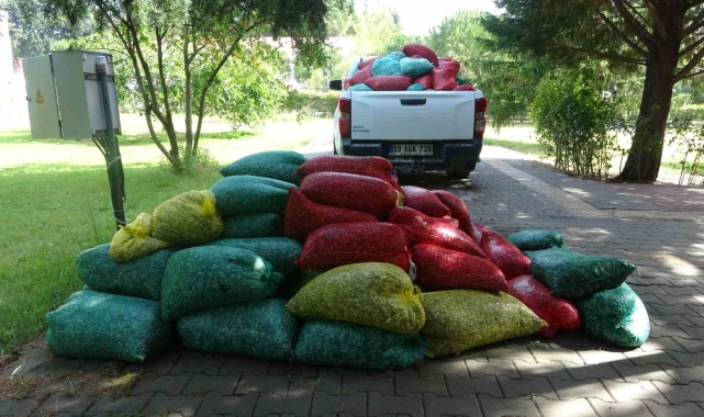 Çanakkale'de 3 ton kum şırlanı ele geçirildi