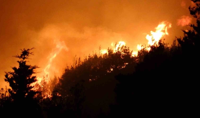 Çanakkale'de orman yangını devam ediyor
